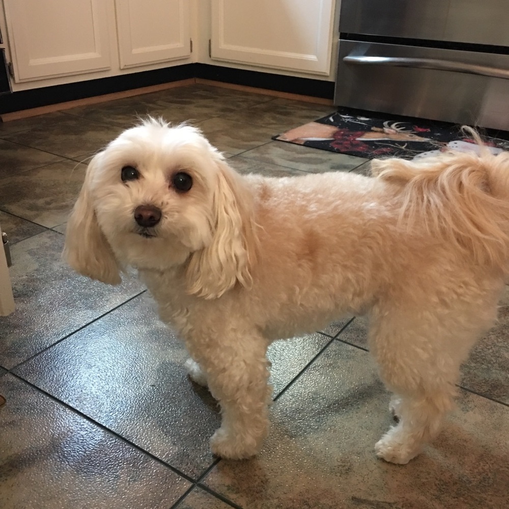 Meet your Posher, Kathrine